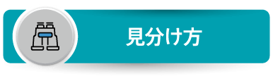 見分け方